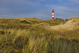 Amrum Island, landscape Germany, dune, dunes, grass, structure, shape, vegetation, lighthouse,