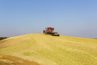 Piston Bully tracked bulldozer vehicle building silage clamp of sweetcorn maize in field stored for