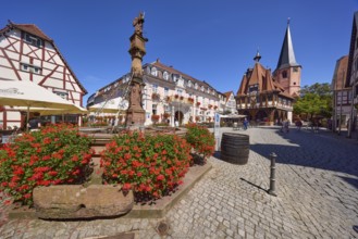 Market fountain with blooming geraniums and historic town hall under a cloudless blue sky on the