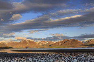 Fjord, low tide, stones, mountains, evening light, cloudy mood, Thingeyri, Westfjords, Iceland,