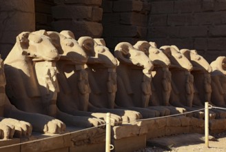 Luxor, Karnak Temple, columns and ram figures of the Amun-Re-Temple in Karnak, Africa, Upper Egypt,