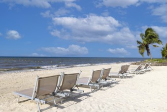 Scenic beaches, playas, and hotels of Cozumel island, a popular tourism and vacation destination on
