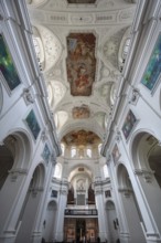 Decorative vault with organ loft, St Kilian's Cathedral, detail, Würzburg, Lower Franconia,