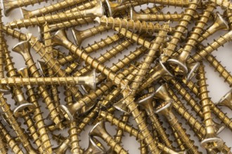 Phillips screws on a white background, wood screws, spax screws