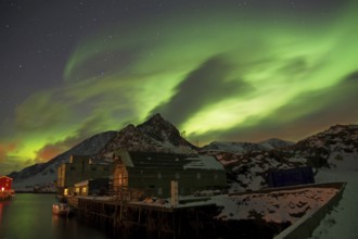 Night scene of a small village on the water, illuminated by auroras and lights from houses,