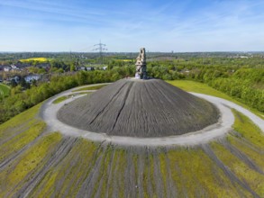 Rheinelbe spoil tip in Gelsenkirchen, 100 metre high spoil tip, landscape park, with the sculpture