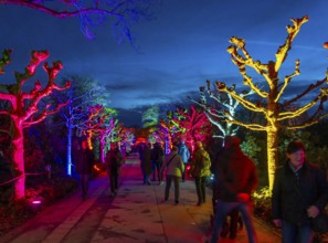 Parkleuchten, event in winter, in the Grugapark in Essen, many different light installations,