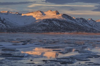Morning light on Bergen on the coast, icy fjord, Breiddalsvik, East Fjords, Iceland, Europe
