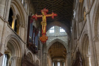Interior of cathedral church, Peterborough, Cambridgeshire, England, UK looking up at sculpture of