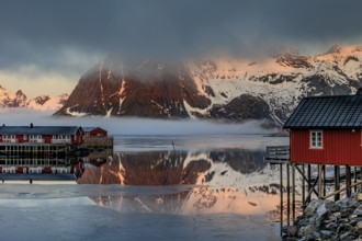 Typical Norwegian houses in fjord in front of steep mountains, sea fog, winter, Reine, Moskenesoya,