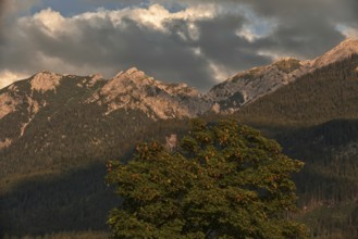 Dramatic cloud formations over the mountain peaks with a single large tree in the foreground,