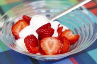 Quark with fresh strawberries, dessert, dessert bowl, healthy, fruit, dairy product, vegetarian,