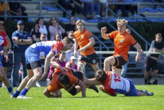 Rugby 1st Bundesliga South/West, Season 2024/25, Matchday 10: RG Heidelberg vs Heidelberger