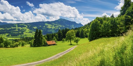 Alpine pasture landscape, behind it the Grünten, 1783m, Oberallgäu, Bavaria, Germany, Europe
