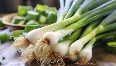Vegetable, spring onion or spring onion, also known as winter onion, Allium fistulosum