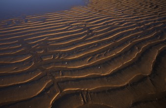 Sand ripples, wavy lines in the sand, structure, sandy beach, Meia Praia beach, Lagos, Atlantic
