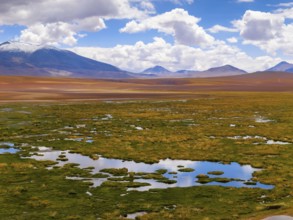 Highland landscape with tundra, mountains and lagoons, Atacama Desert, Chile, South America