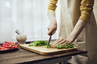 Unrecognizable man chopping cilantro with kitchen knife in the kitchen