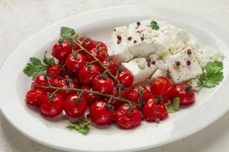 Baked cherry tomatoes, with cheese, and spices, on a white plate, homemade, no people