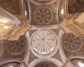 Ribbed vault in the cathedral in Granada, Spain, Europe