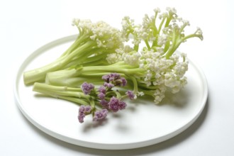 Fioretto, a cross between cauliflower and broccoli. The flowers are reminiscent of coral,