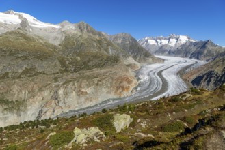 Aletsch glacier, glacier tongue, panorama, climate change, decline, global warming, ice, global