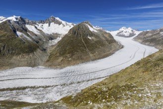 Aletsch glacier, glacier tongue, panorama, climate change, decline, global warming, ice, global