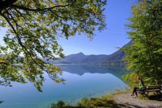 Walchensee near Sachenbach, Jachenau, Upper Bavaria, Bavaria, Germany, Europe