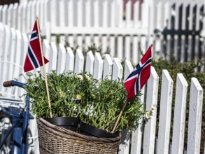Decorated bicycle at a white fence, norwegian national day, village Solvorn at the Sognefjord,
