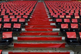 Preparation of a choreography with flags in different colours, international match Germany GER vs.