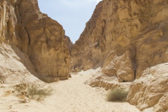 White canyon with yellow rocks, sunny day. Egypt, desert, the Sinai Peninsula, Nuweiba, Dahab