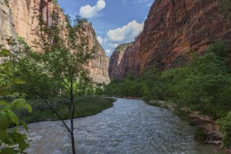 Virgin River runs between sandstone rock formations along the Riverside Walk in the Temple of