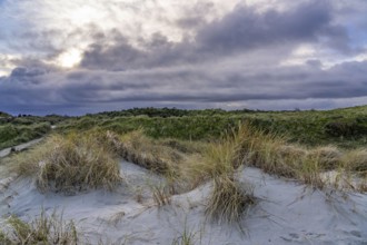 North Sea island of Spiekeroog, East Frisia, Lower Saxony, Germany, dune landscape, in the eastern