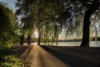 Cycling on Lake Baldeney, around 14 kilometres around the Ruhr reservoir, summer evening on the