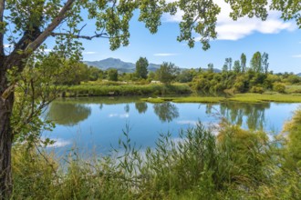 Beautiful landscape in the Jaizubia marsh in the town of Hondarribia or Fuenterrabia in Gipuzkoa.