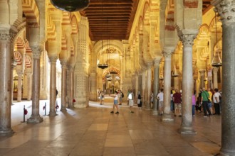 Historic interior with many columns and arches, viewed by people, Cordoba