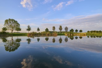 Lake in spring with row of trees and reflection, Drei Gleichen, Ilm-Kreis, Thuringia, Germany,