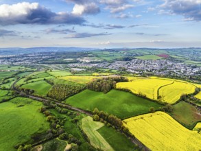 Rapeseed fields and farms from a drone, Torquay, Devon, England, United Kingdom, Europe