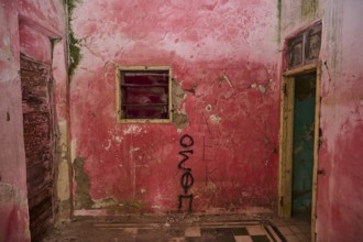 Pink-painted room with graffiti on the walls, exposed to severe decay and ageing due to damaged