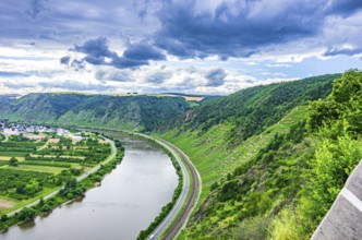 View over the Moselle and the Moselle valley near Winningen, Rhineland-Palatinate, Germany, Europe