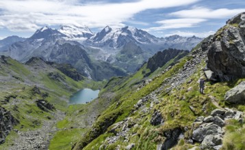 Mountain stream and mountain lake Lac de Louvie with glaciated summit of the Grand Combin, Val de
