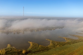 Aerial view of river Elbe near Lenzen, view to Höhbeck radio mast, morning fog in autumn, Germany,