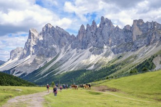 Hikers on a path at a alp meadow at the mighty Odle Group mountains in the Dolomites, Ortisei, Val