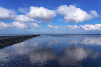 The Wadden Sea, East Frisia, between Bensersiel and Neuharlingersiel, Breakwater behind the dyke,