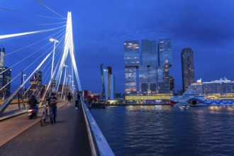Rotterdam, skyline at the Nieuwe Maas, Erasmus Bridge, skyscrapers at the Kop van Zuid district,