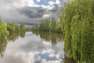 Stormy weather over a tree-lined natural river in spring. L'ill, Hutenheim, Bas Rhin, Alsace,