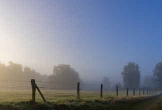 Early morning fog, landscape in and around Wittmoor, Norderstedt, Schleswig-Holstein, Germany,