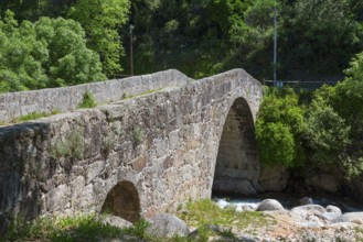 Old stone bridge over a river in a green, wooded setting under a sunny sky, Puente Parral, Roman