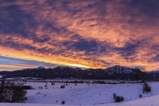 Dawn, clouds over mountains, winter, snow, Loisach-Lake Kochel moor, Kochler mountains behind,