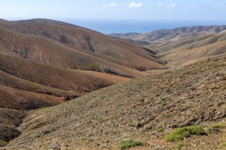 View from the pass La Tablada, near La Pared, Canary Island, Fuerteventura, Spain, Europe